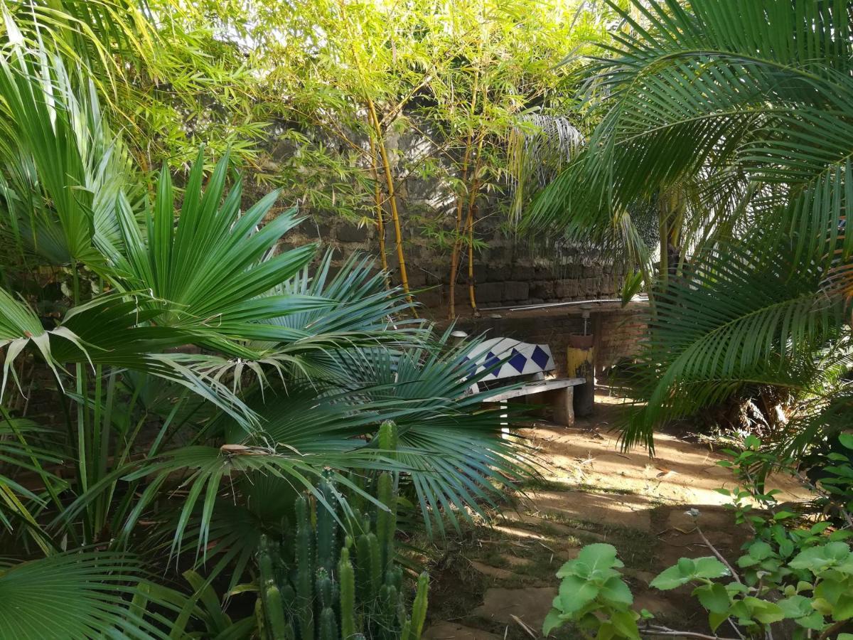Harvest House Nicaragua 호텔 León 외부 사진