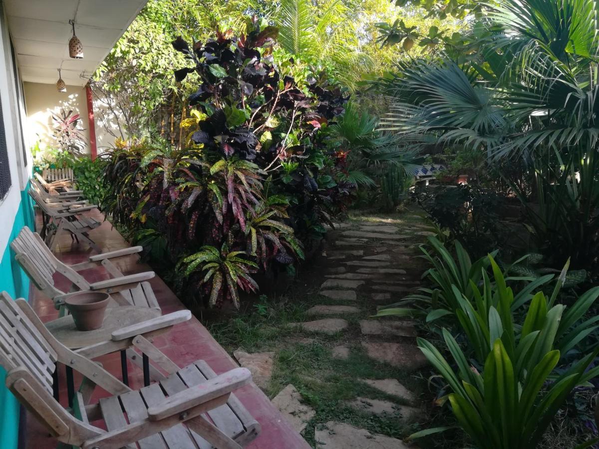 Harvest House Nicaragua 호텔 León 외부 사진